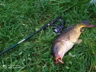 Guest house Karpolov Park - 38