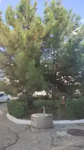 турбаза Прибой - 43