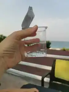 Elysium Elite&Spa - 83