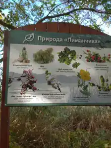Пансионат "Звёздный" - 79