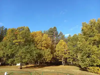 Березина (Минская обл.) - 11