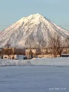 ALFA-Guest Guest House - 16