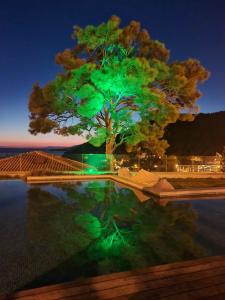 Melanippe Relaxing - Adults Only - 2