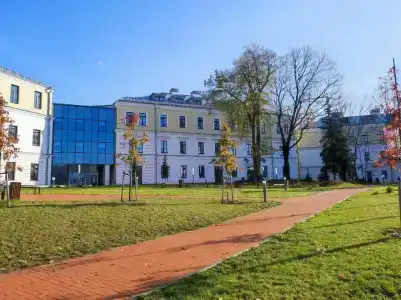 The Basilian Minsk, Curio Collection By Hilton - 61