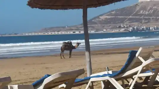 Atlas Amadil Beach - 11