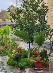 Alpha Plaza & SPA - 37