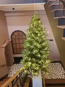 Zalkind Rooms & Kitchen - 10