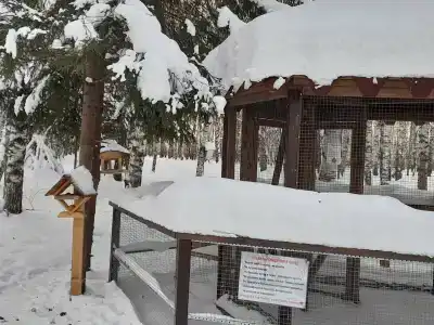 Sanatorium-profilaktoriy Zhemchuzhina - 26