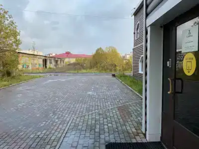 Tundra - 26