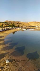 Xperience Golden Sandy Beach - 11