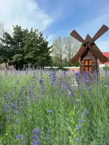 Park-Otel Yuzhnyy bereg - 2