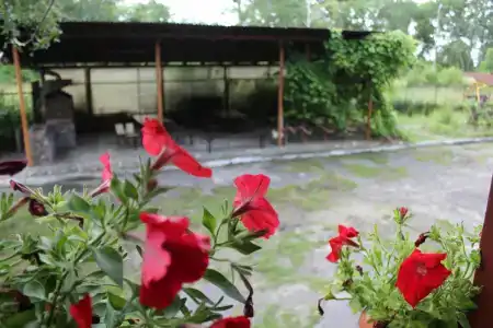 Frische Nehrung - 25