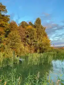 Gostevoj kompleks Tihij Les Recreation camp - 8