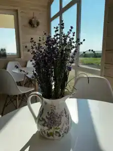 ZaGrad Tourist base - 18