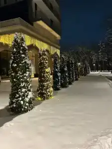 Swissôtel Wellness Resort Alatau - 80