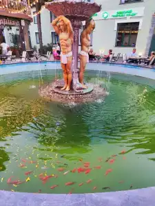 Кардинал - 5