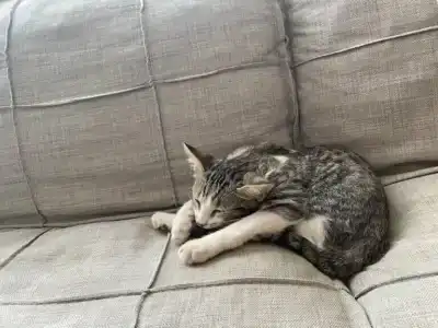 Himeros Beach - All Inclusive - 33