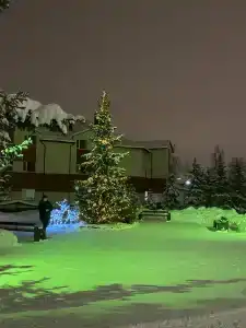 Livadiya Sanatorium - 31