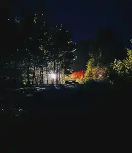 Zaliv - 63