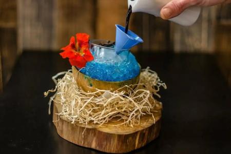 Regente Aragón Gastronómico - 27