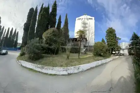 Светлана Плюс - 81
