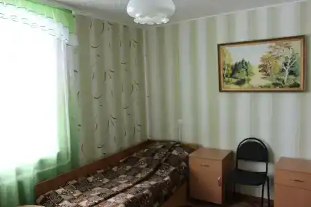 Gostinitsa Birsk - 80