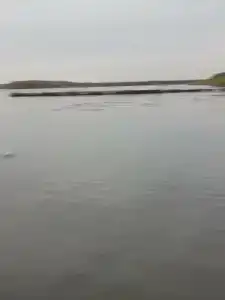 Rybolovno-ohotnichya turbaza Zavolzhe - 63