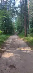Zaliv - 96