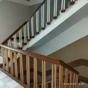 Frische Nehrung - 31