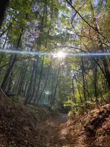 Baza Otdykha Monte-Karlo - 18