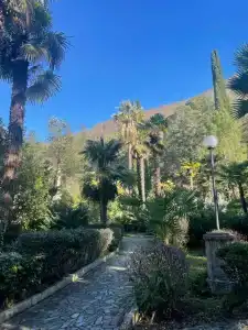 Amra Park-& Spa - 86