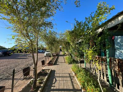 Zona otdyha Koktem Tourist base - 4