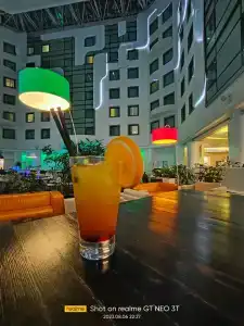 Novotel Moscow Sheremetyevo Airport - 37