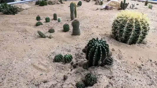 Narochanka Sanatorium - 96