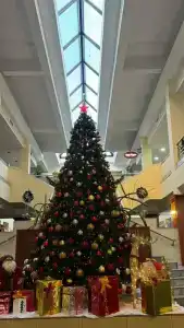 Le Grande Plaza - 6
