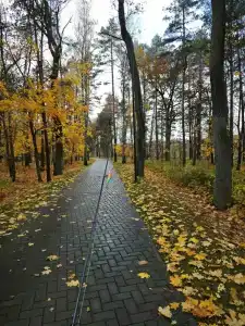 Berezinskaya Dubrava - 25