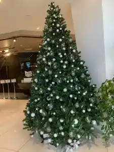 Mercure Воронеж Центр - 70
