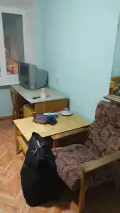 Gostinitsa Birsk - 39