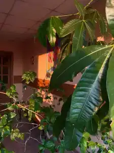 Gostinitsa Litseyskaya - 16