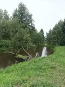 Sanatoriy Shchelykovo - 85
