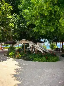 Reethi Faru, Bio Luxury Resort - 20