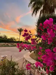 Eden Rock Namaa Bay - 27