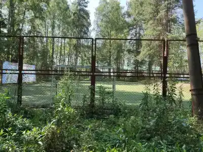 Sol Zhdanovets - 11