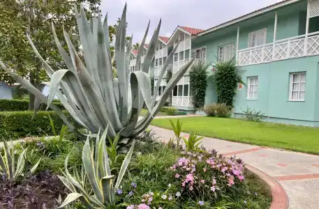 Euphoria Palm Beach Resort - 48