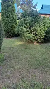 Tihaya Gavan Tourist base - 53