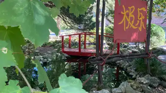 Lago-Naki Resort - 39