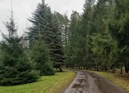 Nagornoe Holiday Home - 90