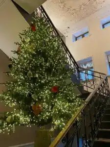 Zalkind Rooms & Kitchen - 12