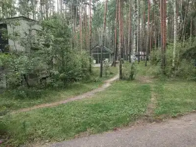 Sol Zhdanovets - 15