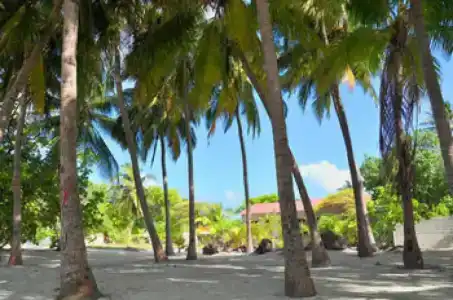 Rashu Hiyaa - 22